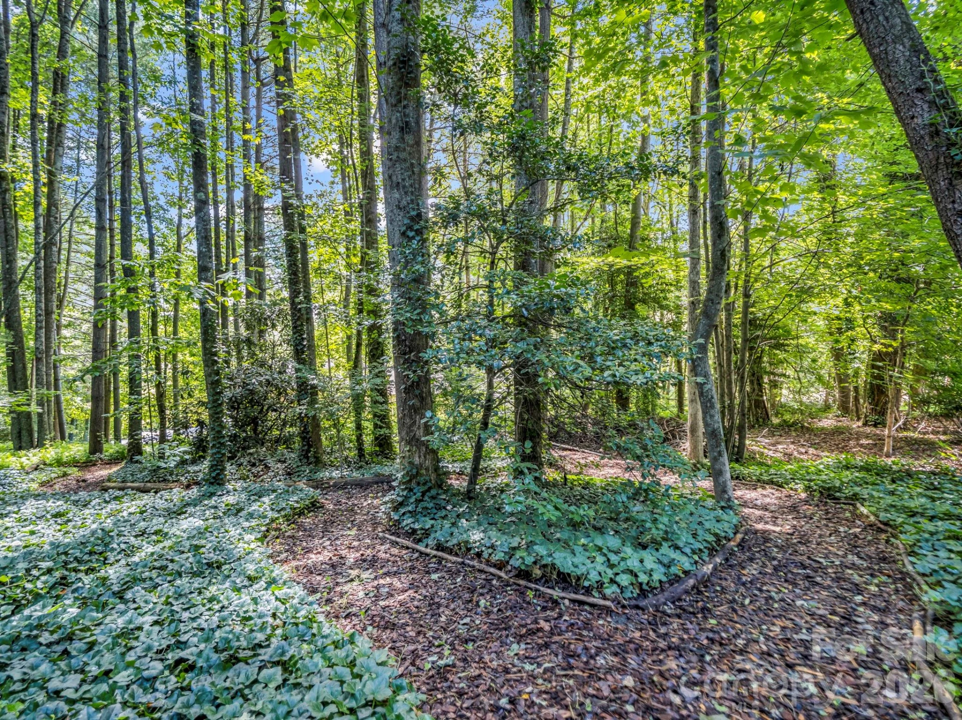 115 Woodhaven Drive - Photo 43