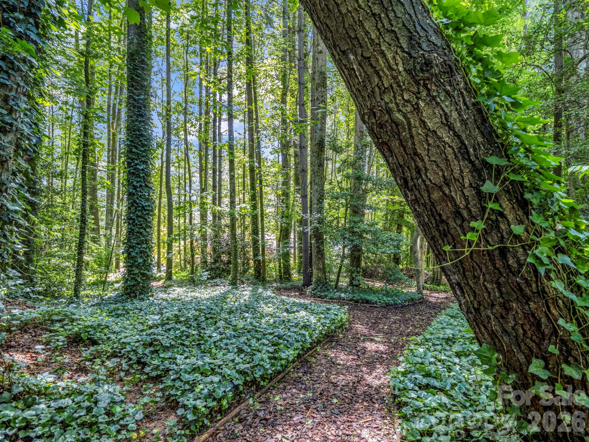 115 Woodhaven Drive - Photo 44