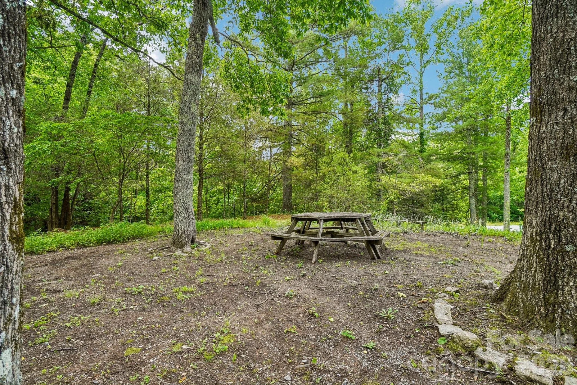 3229 Bearwallow Road - Photo 47