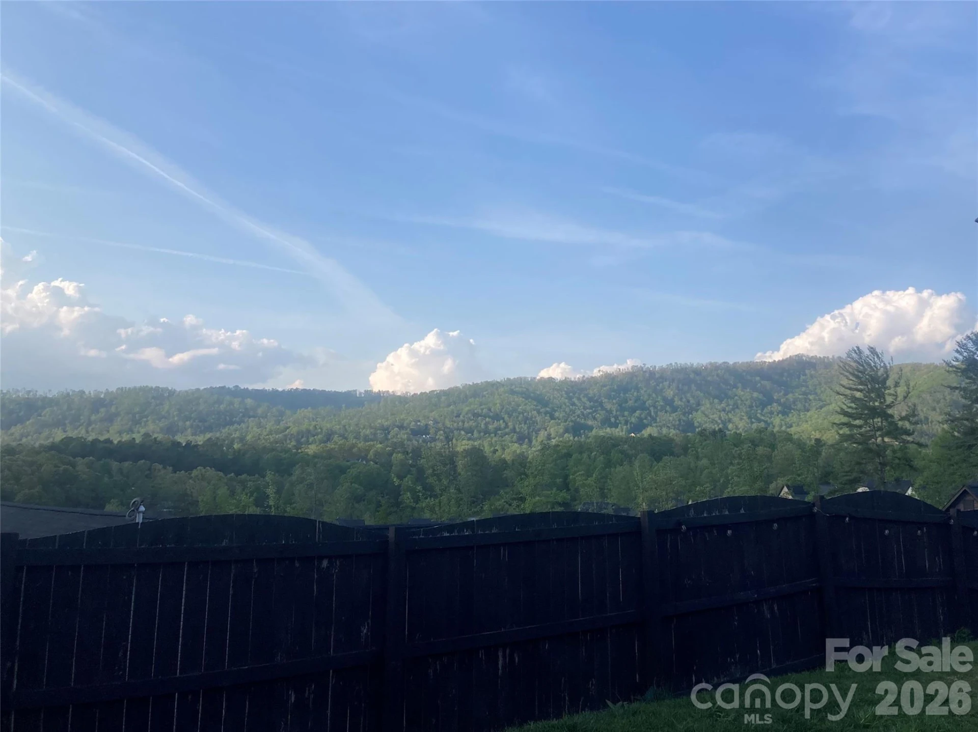 115 Water Leaf Drive - Photo 4