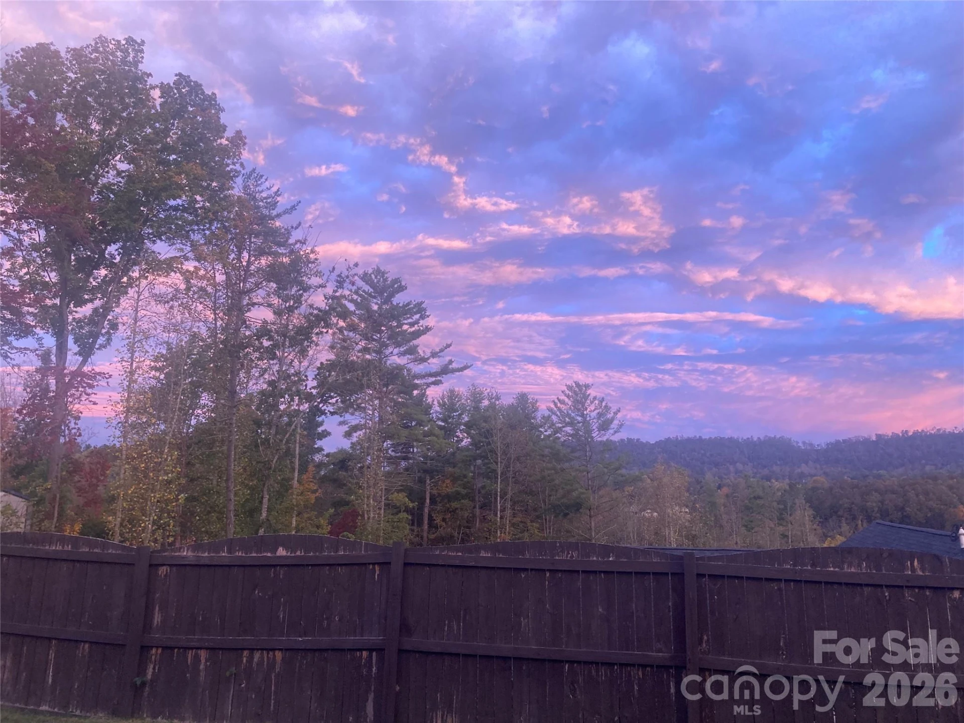 115 Water Leaf Drive - Photo 6