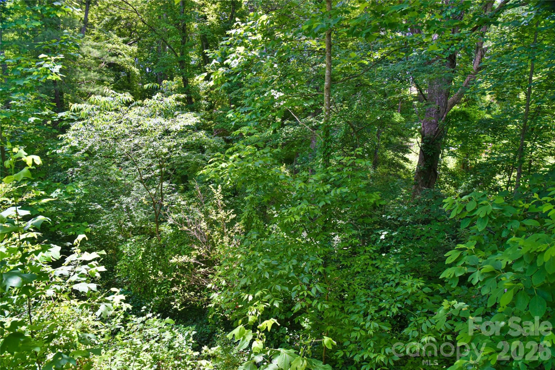 115 Wicklow Drive - Photo 30