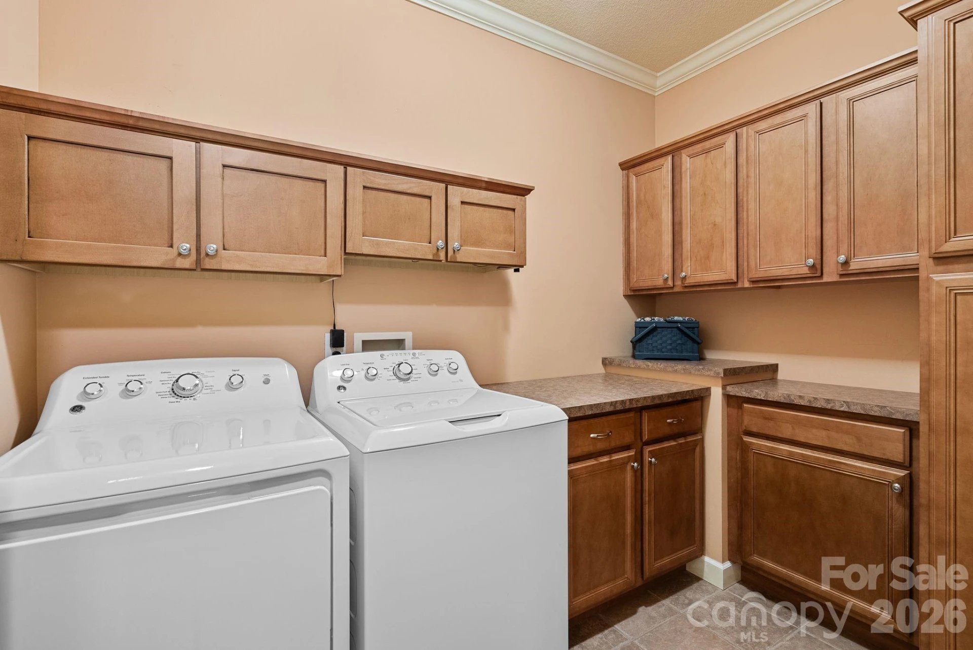 522 Silver Hawk Lane - Photo 29