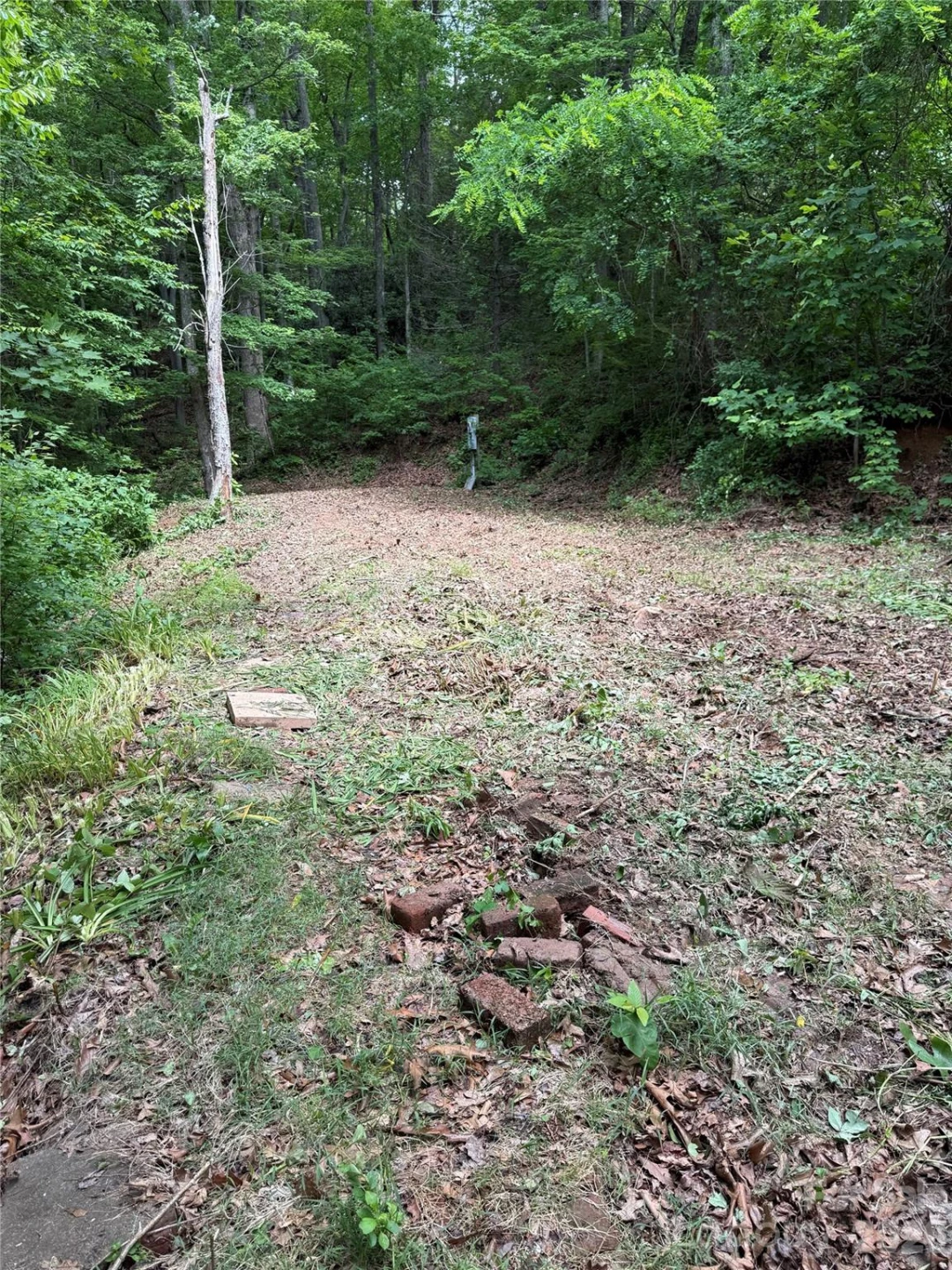370 Spivey Mountain Road - Photo 2