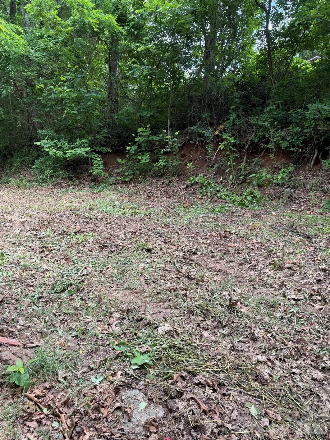 370 Spivey Mountain Road - Photo 3
