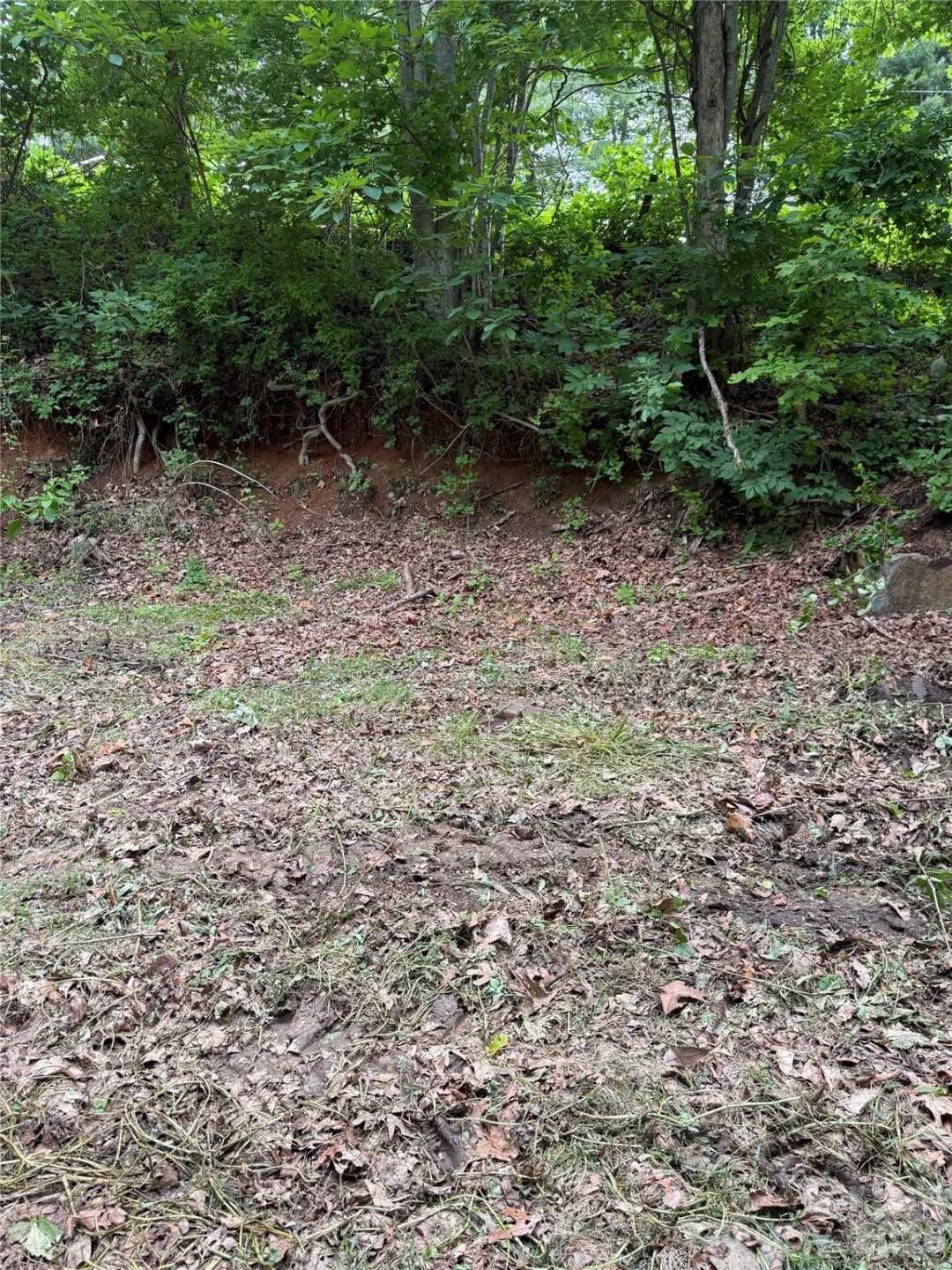 370 Spivey Mountain Road - Photo 4