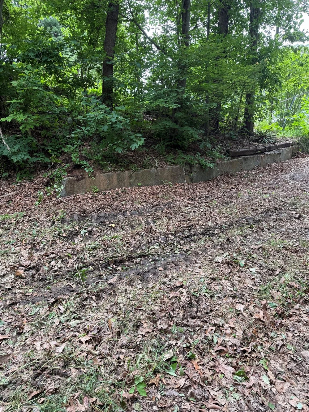 370 Spivey Mountain Road - Photo 5
