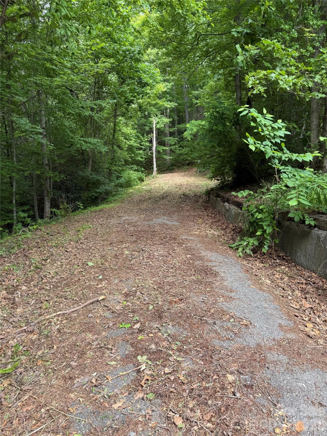 370 Spivey Mountain Road - Photo 6