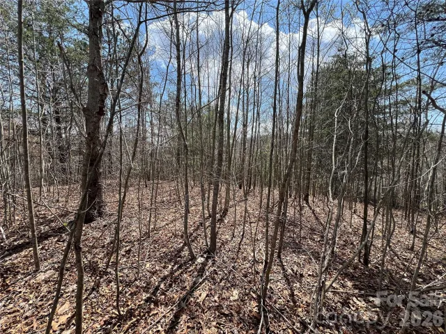192 Pine Cone Trail, Marshall, NC, 28753