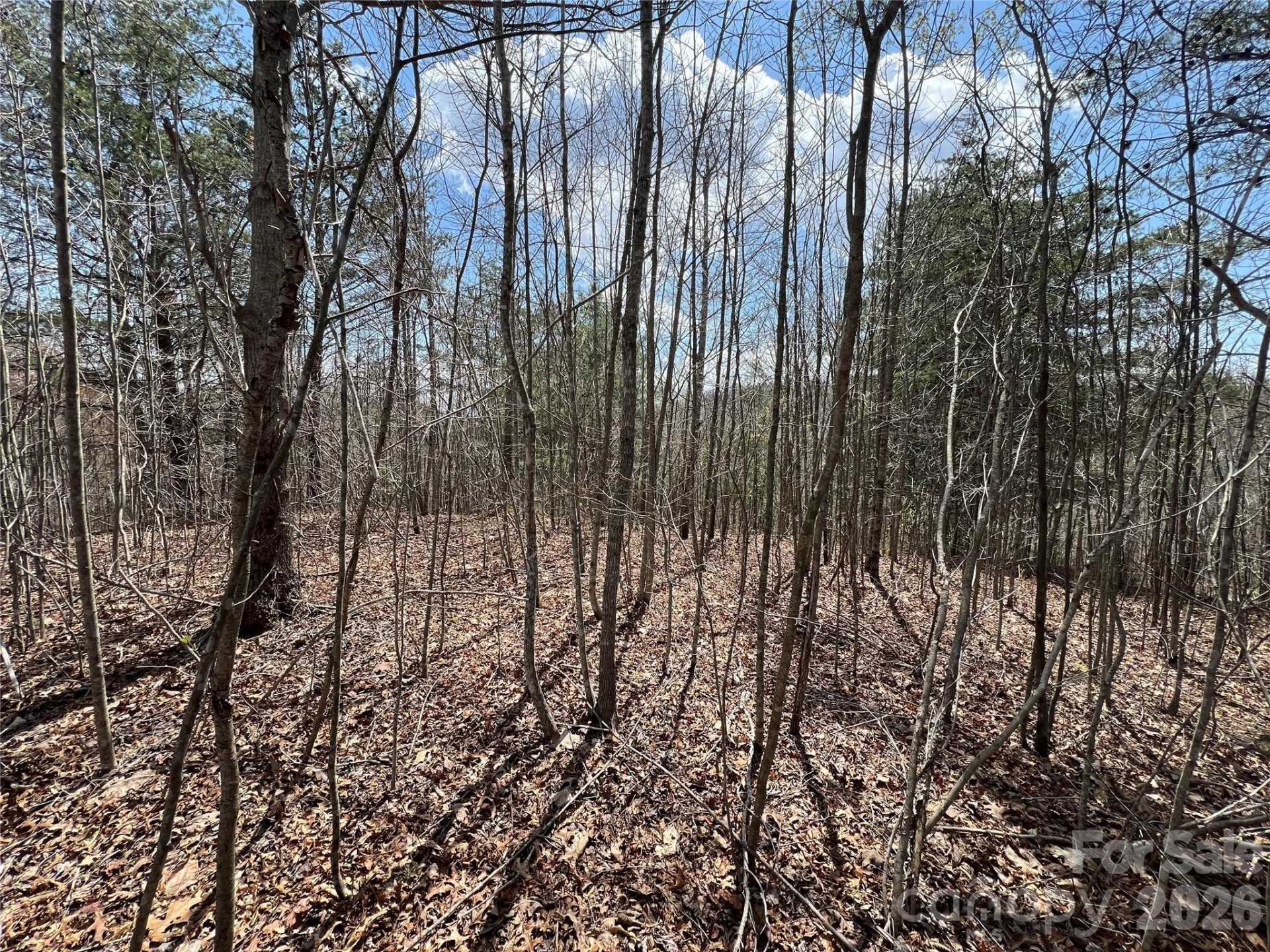 192 Pine Cone Trail #21