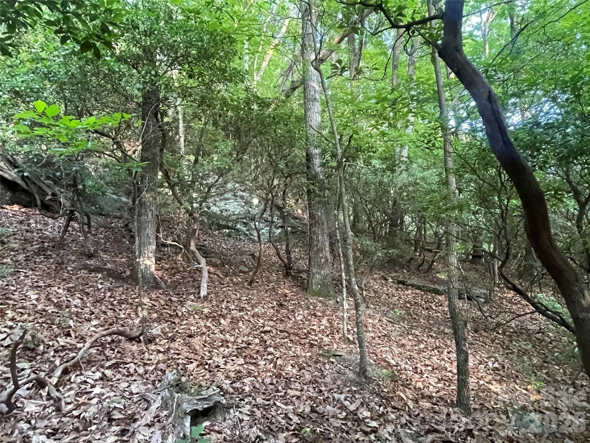 99999 Red Oak Forest Road #1418 - Photo 13