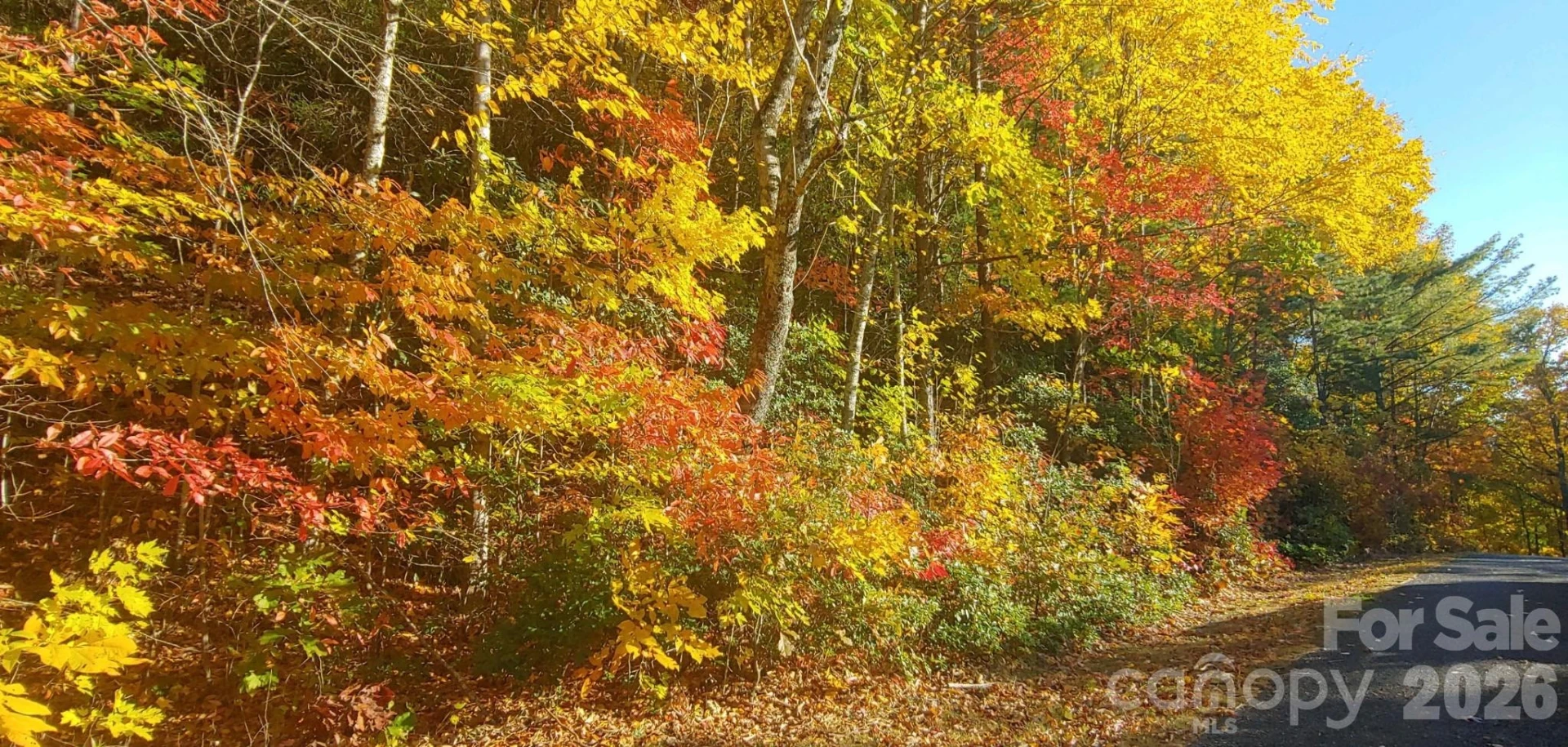99999 Red Oak Forest Road #1418 - Photo 15