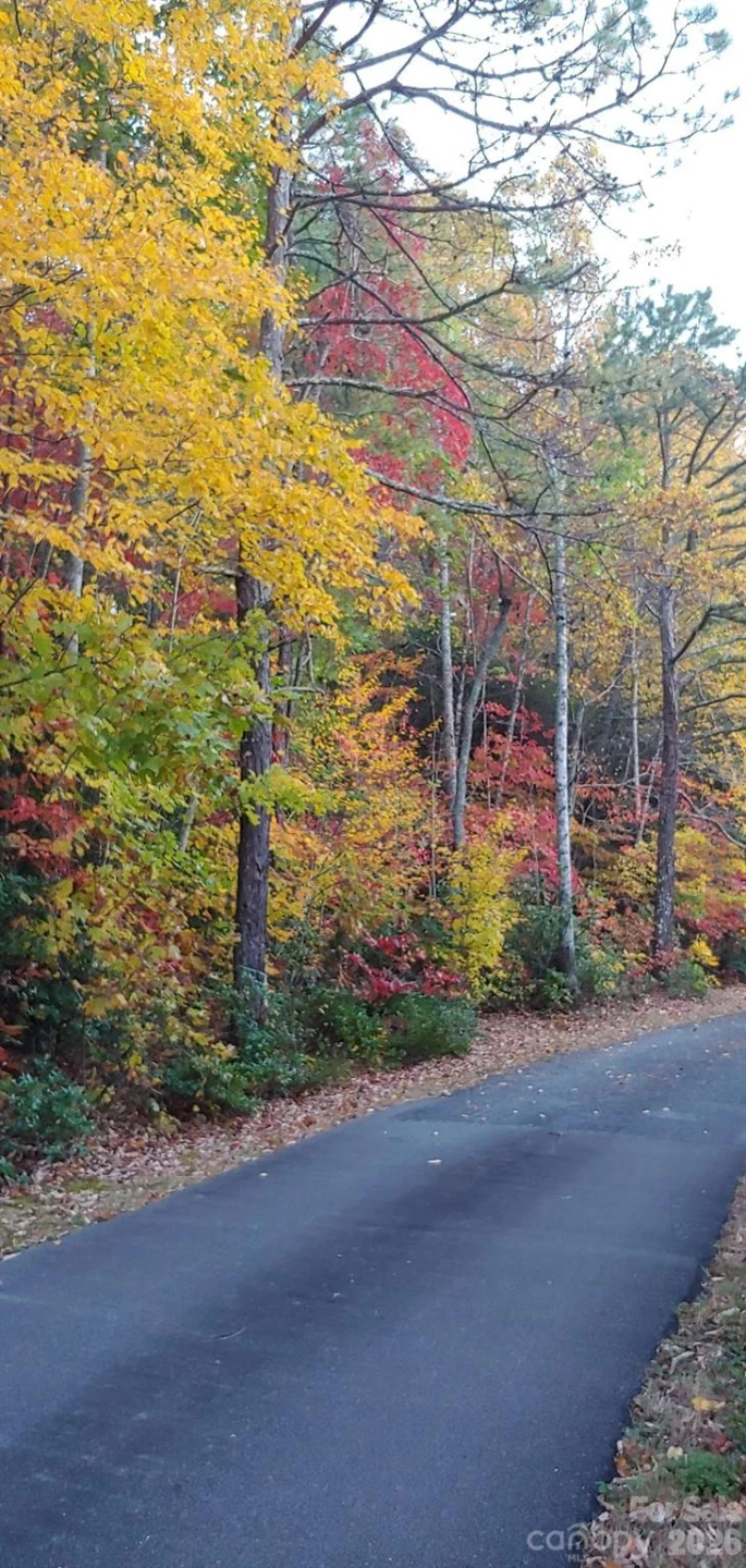 99999 Red Oak Forest Road #1418 - Photo 16