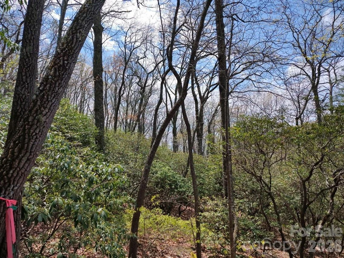 99999 Red Oak Forest Road #1418 - Photo 20