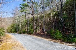 99999 Red Oak Forest Road #1418 - Photo 4