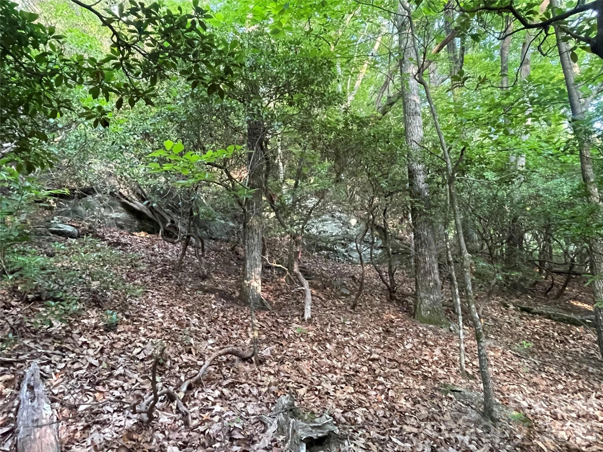 99999 Red Oak Forest Road #1418 - Photo 5