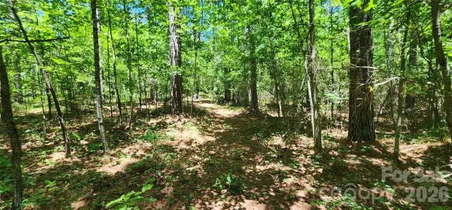 171 Bambi Lane, Mill Spring, NC, 28782