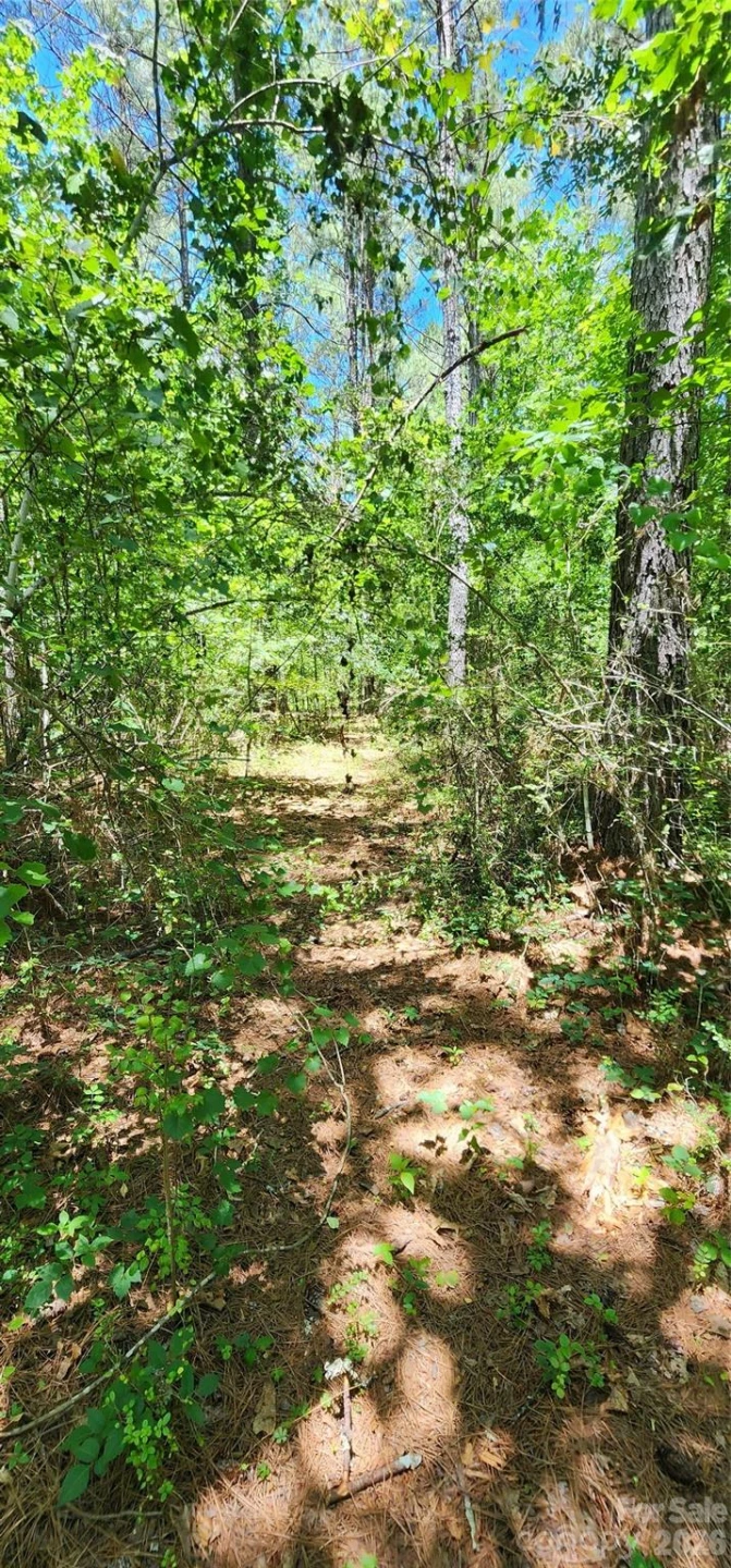 171 Bambi Lane - Photo 2