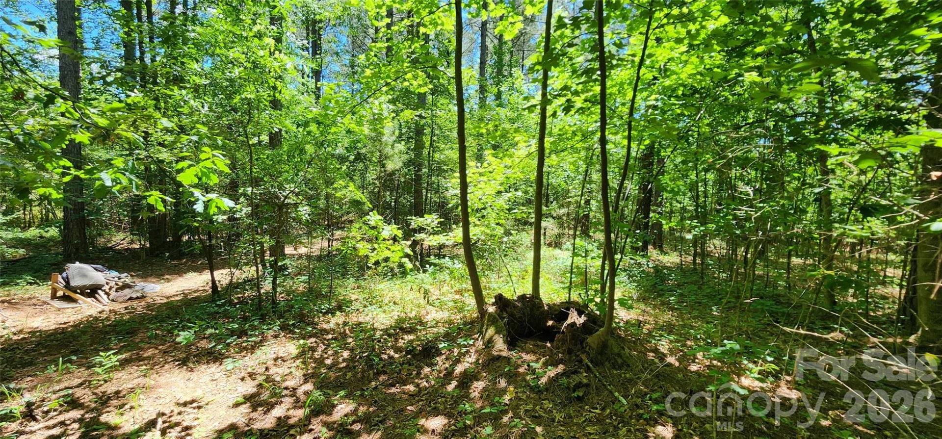 171 Bambi Lane - Photo 11