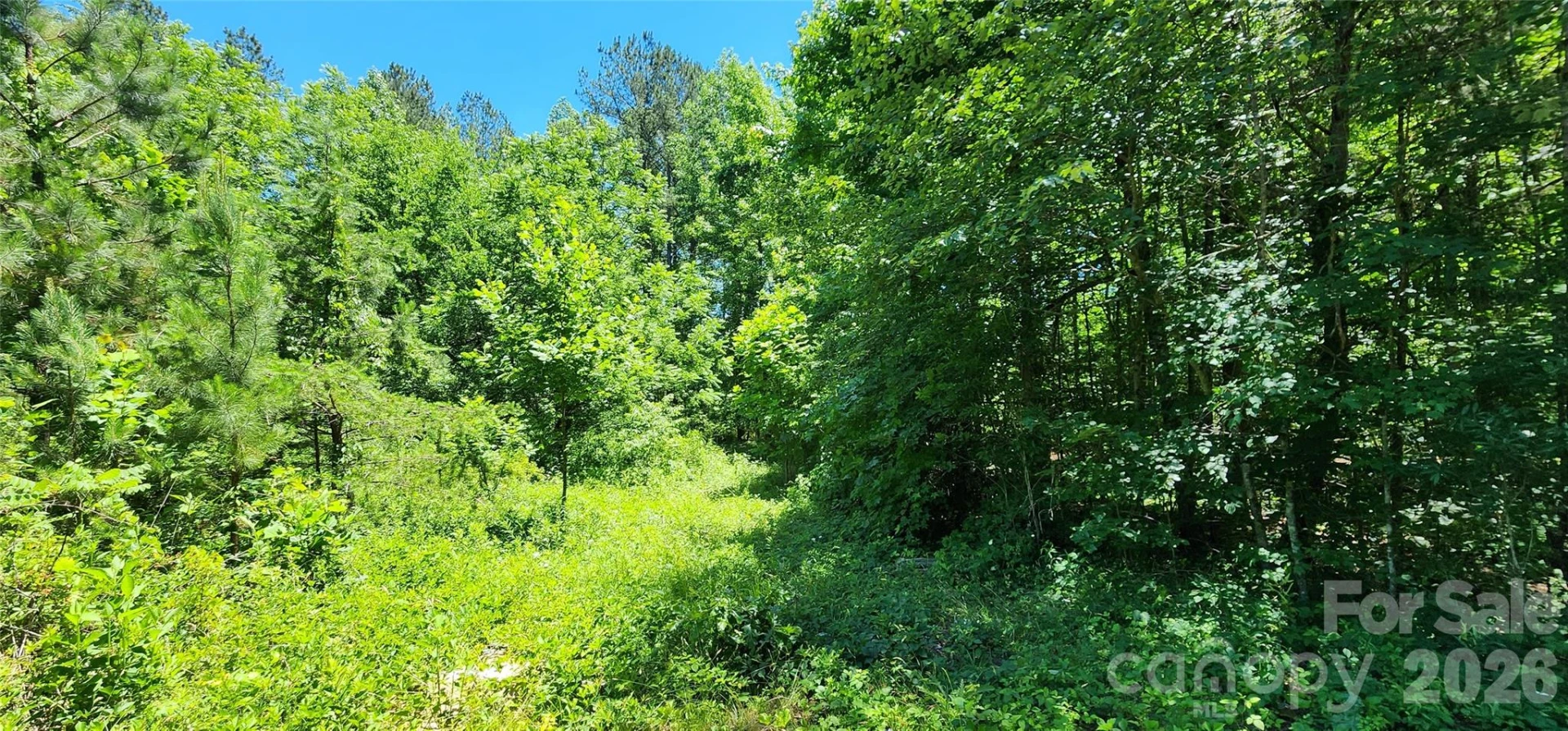 171 Bambi Lane - Photo 12