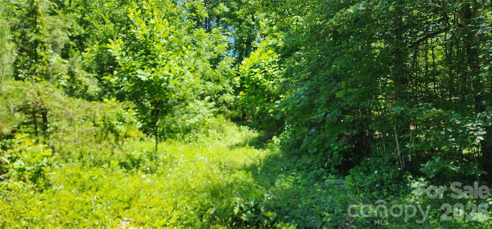 171 Bambi Lane - Photo 13