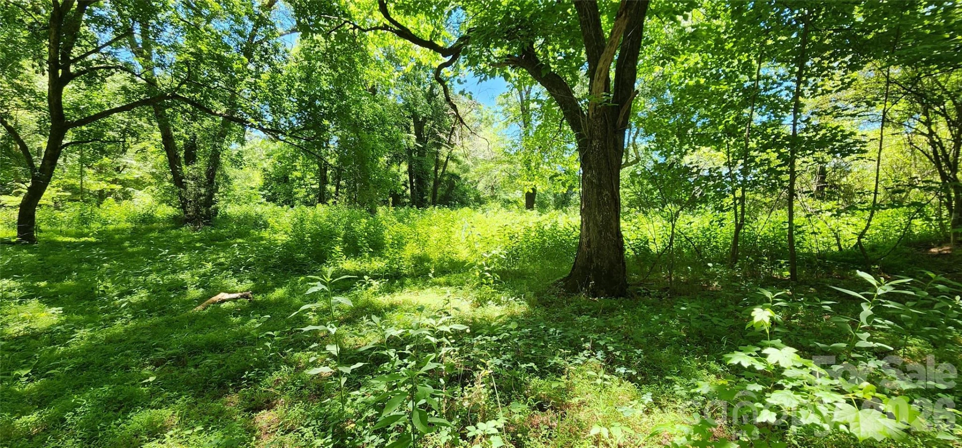 171 Bambi Lane - Photo 3