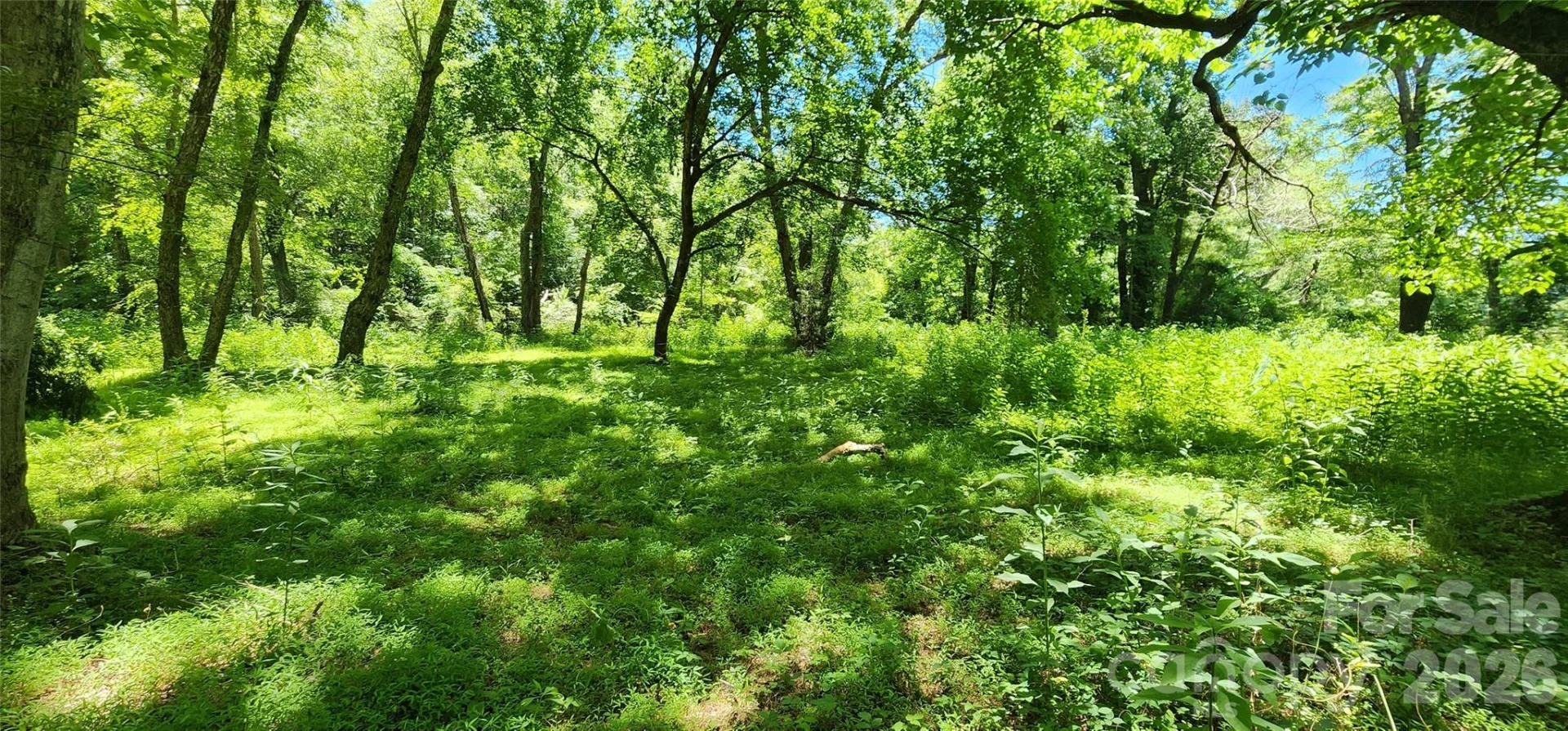 171 Bambi Lane - Photo 4