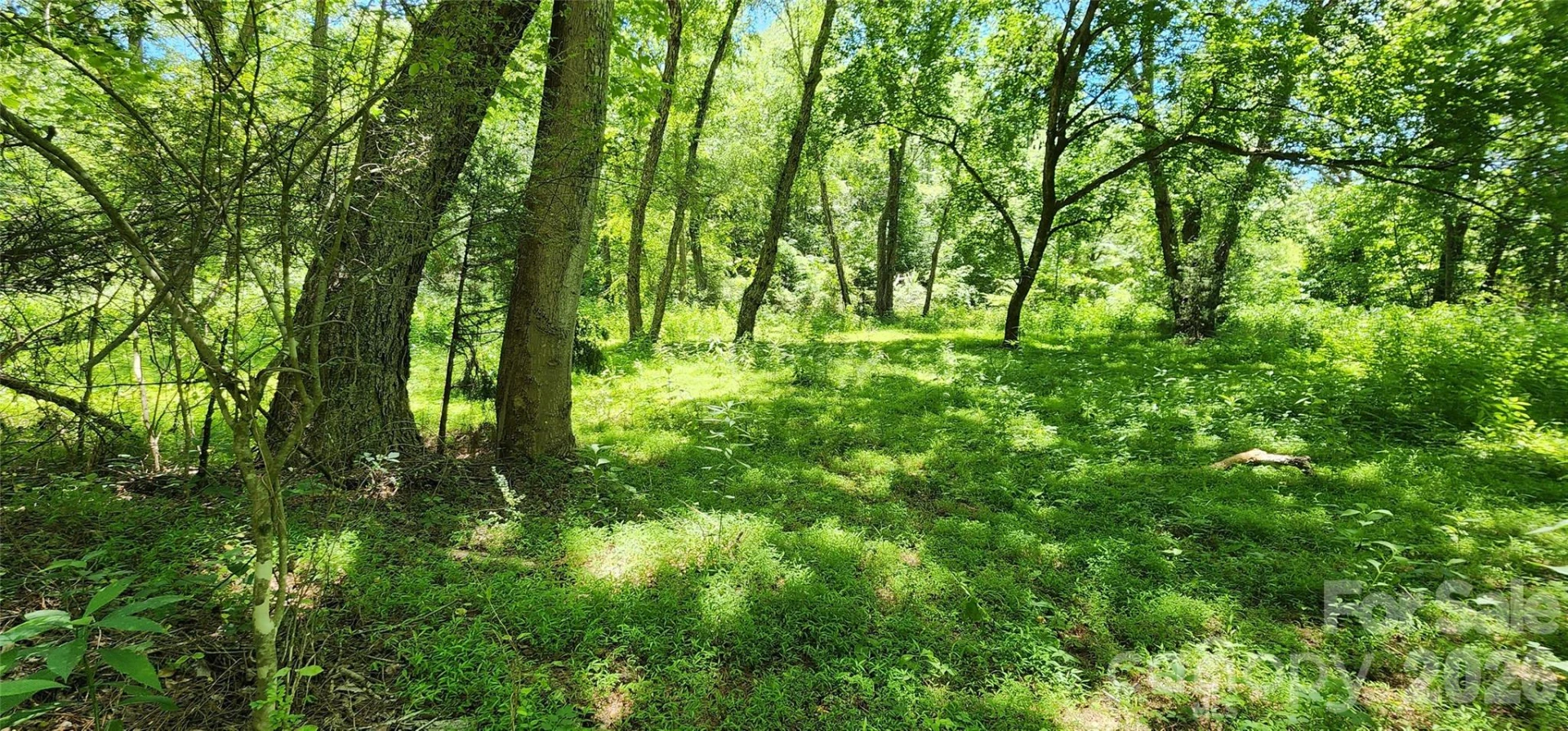 171 Bambi Lane - Photo 5
