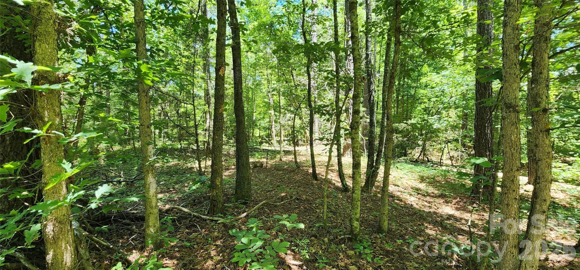 171 Bambi Lane - Photo 6