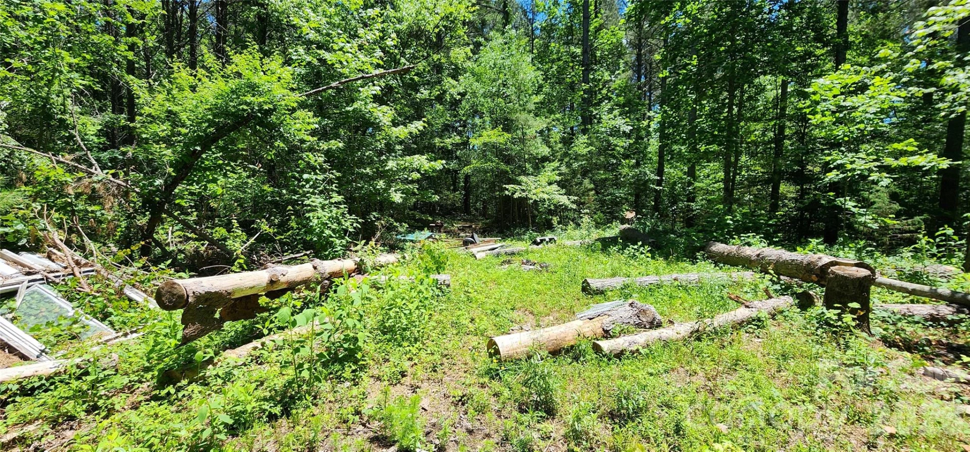 171 Bambi Lane - Photo 7