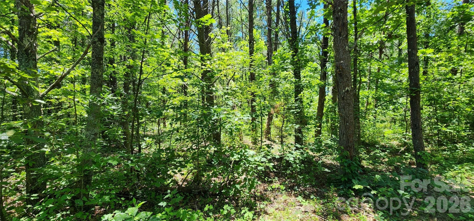171 Bambi Lane - Photo 8