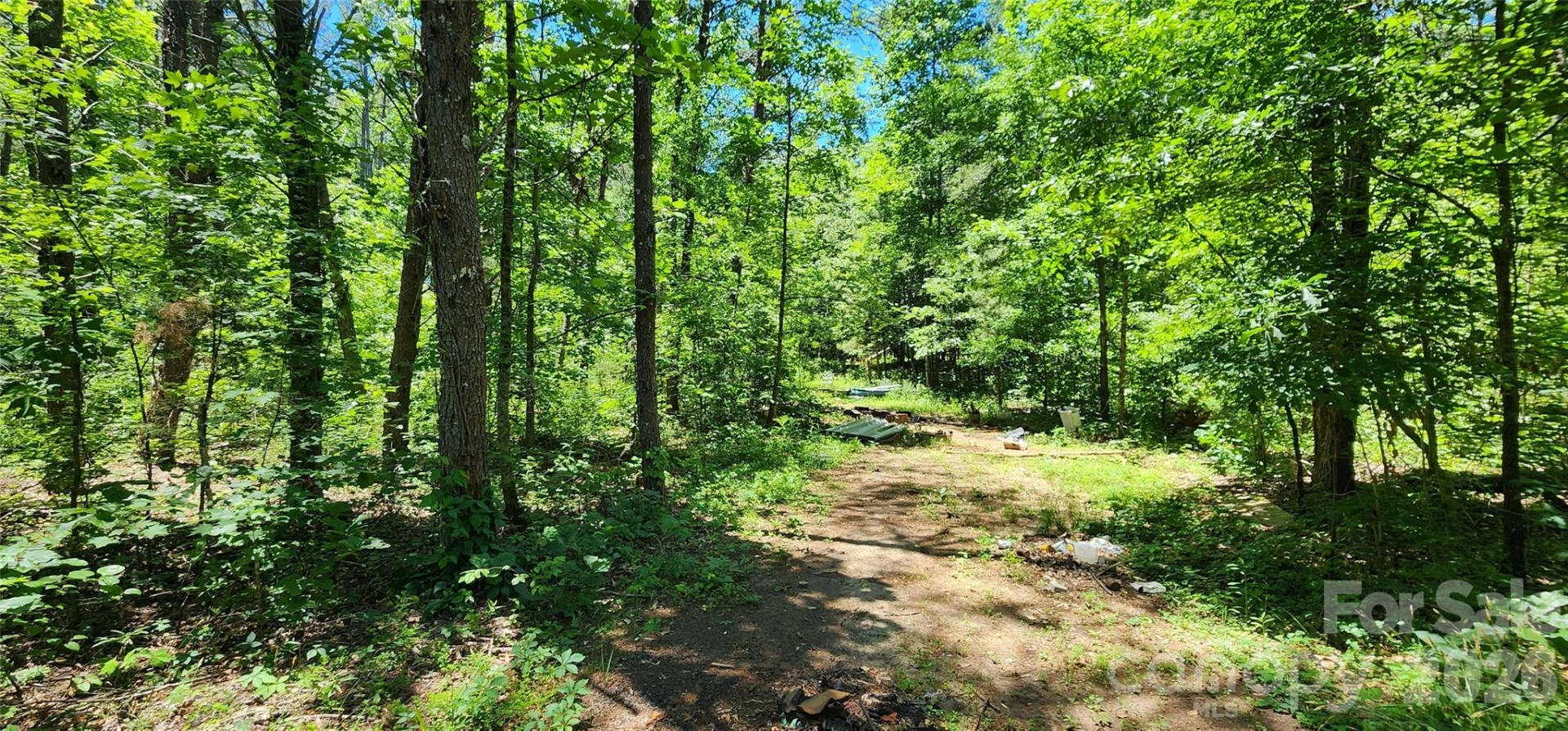 171 Bambi Lane - Photo 9