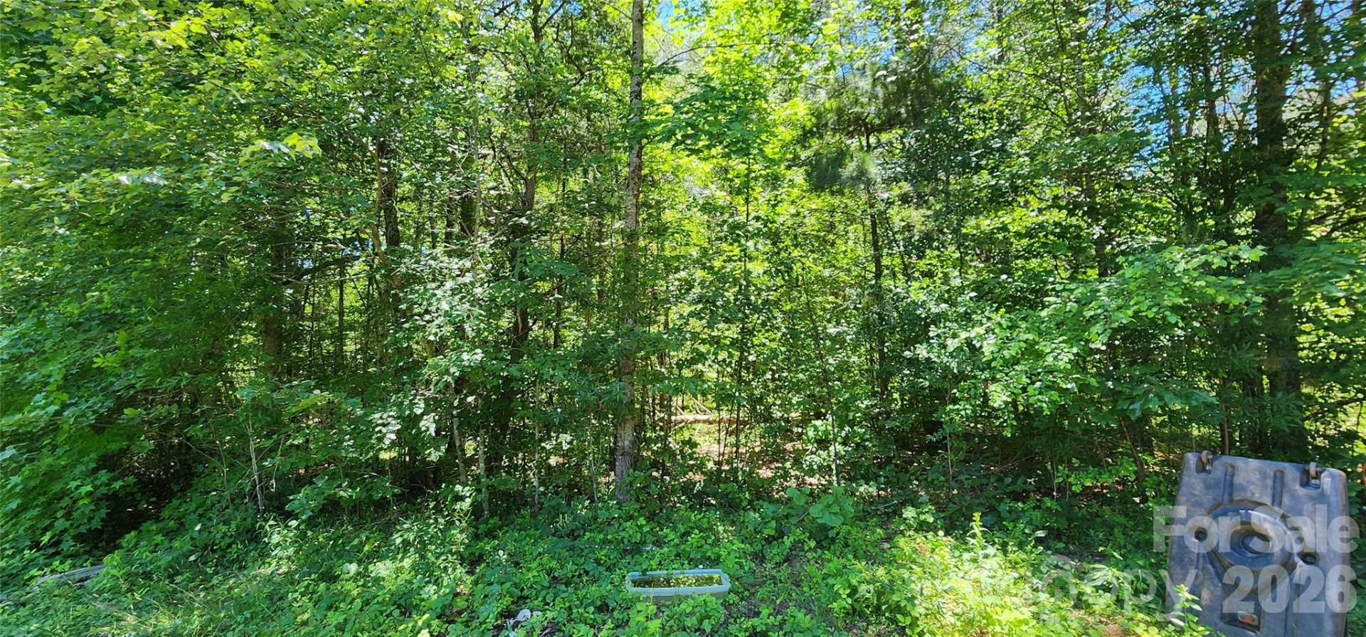 171 Bambi Lane - Photo 10