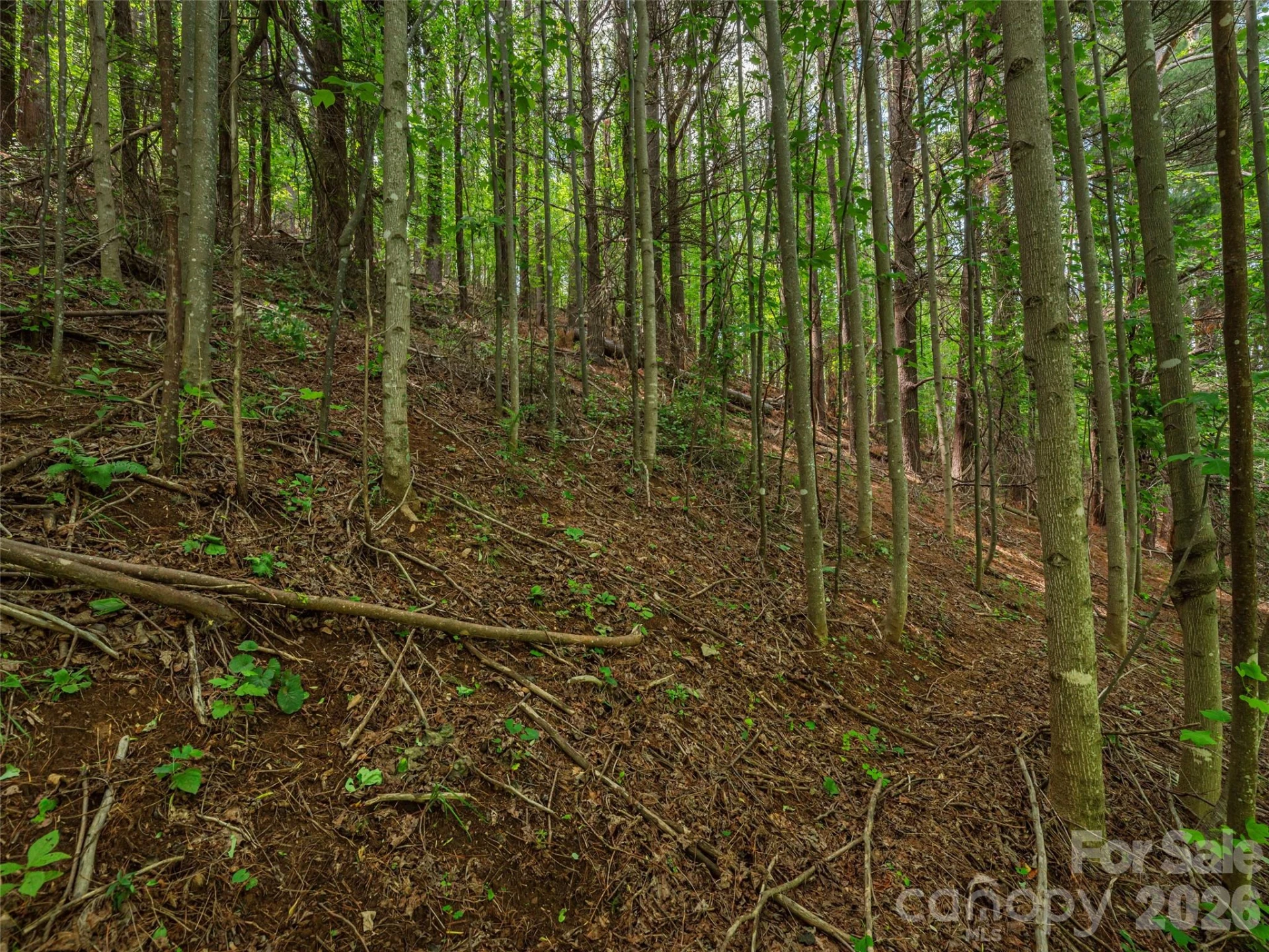 5622 Dutch Cove Road - Photo 14