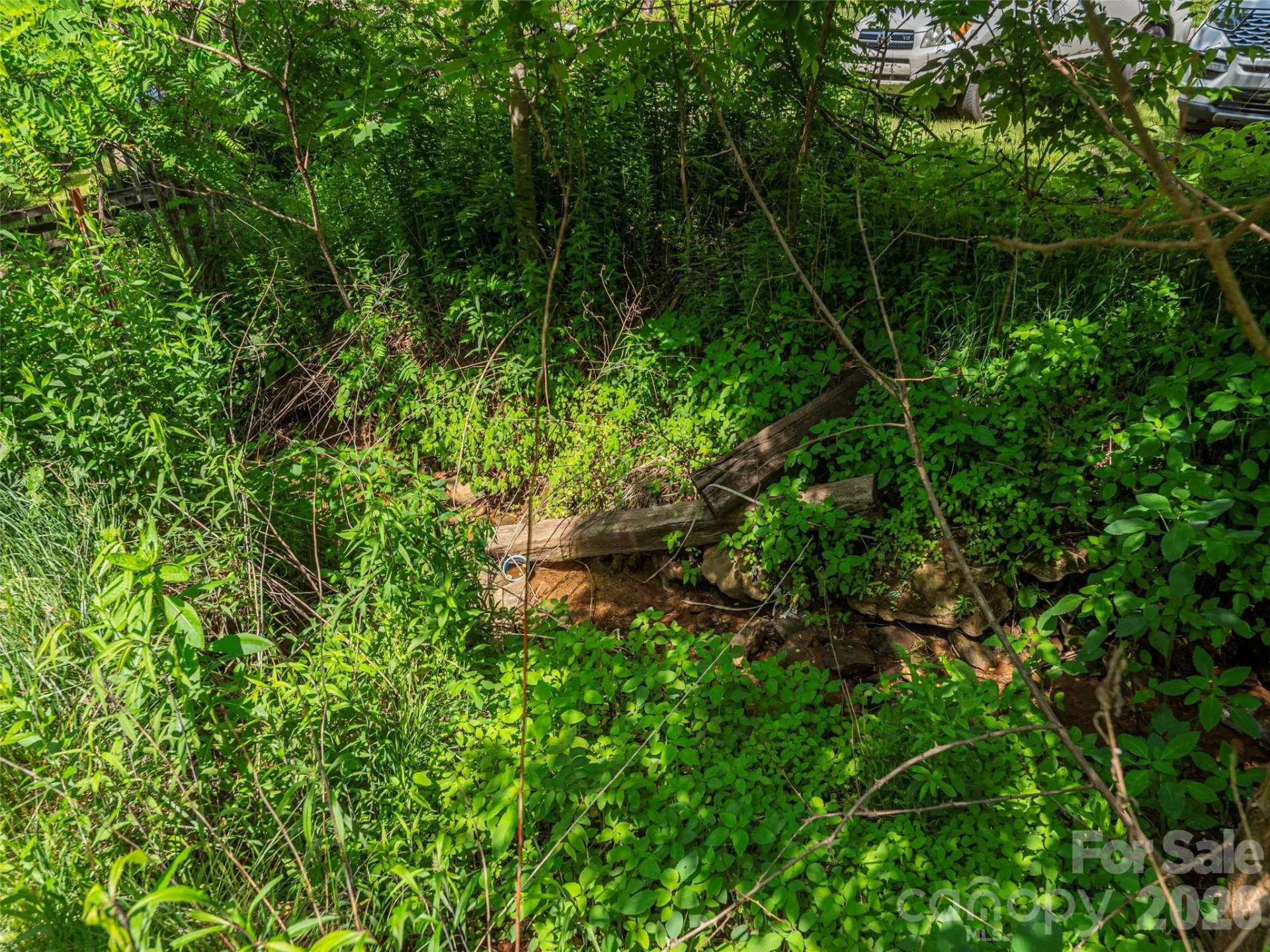 5622 Dutch Cove Road - Photo 9