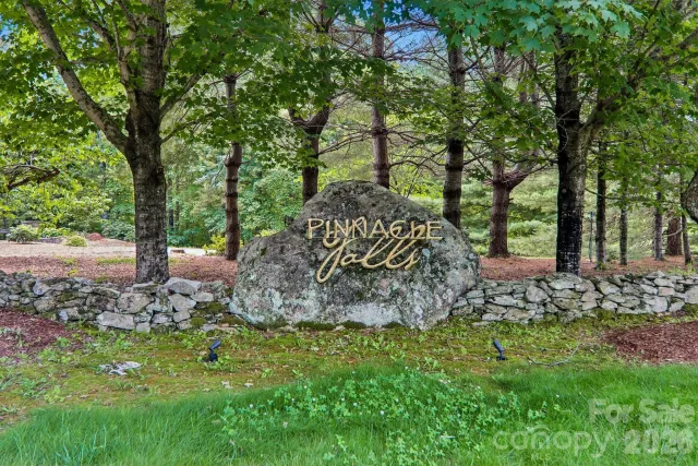 11 Magnolia Branch Drive, Zirconia, NC, 28790