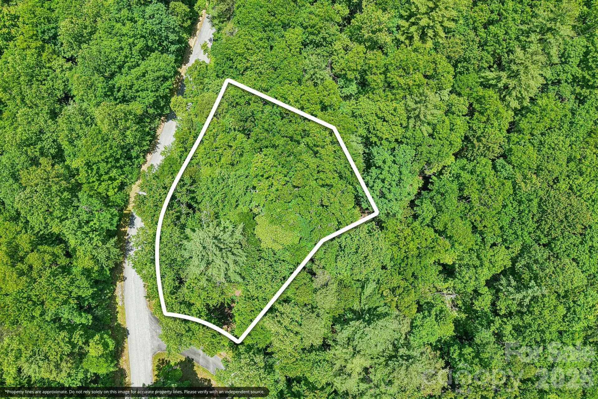 11 Magnolia Branch Drive - Photo 3