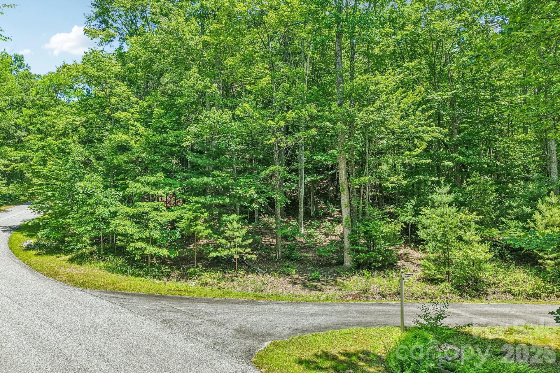 11 Magnolia Branch Drive - Photo 4