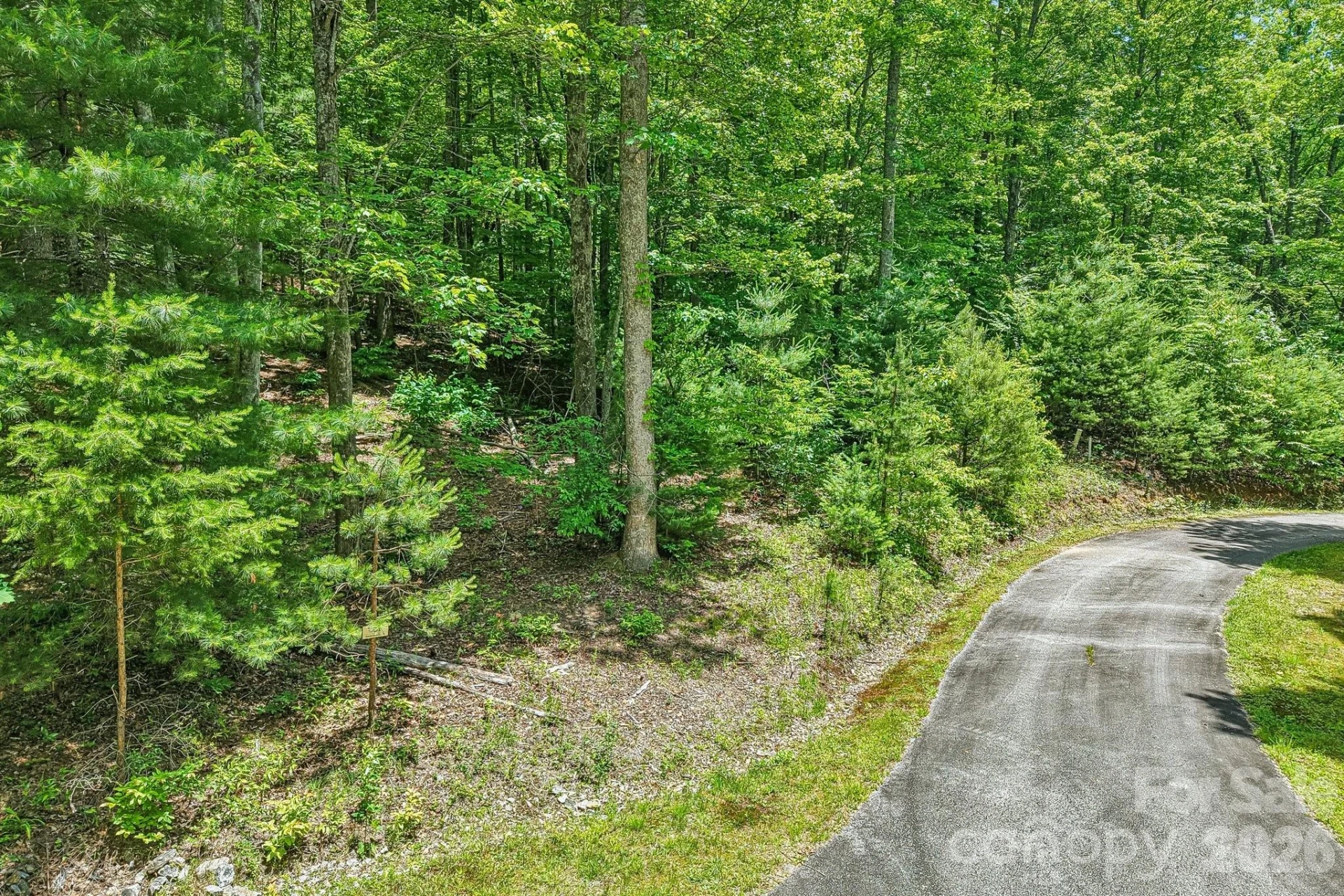 11 Magnolia Branch Drive - Photo 5