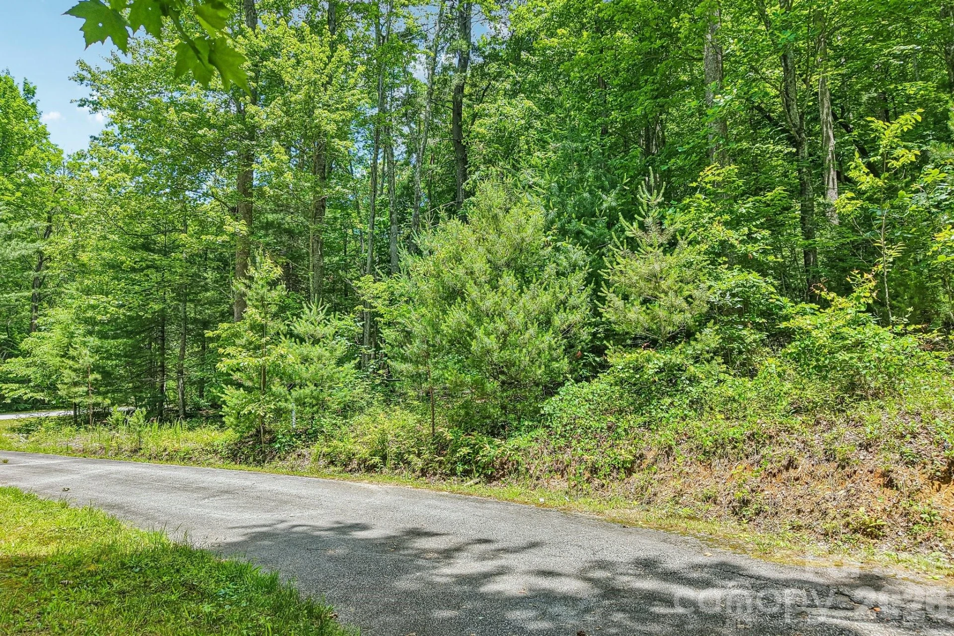 11 Magnolia Branch Drive - Photo 6