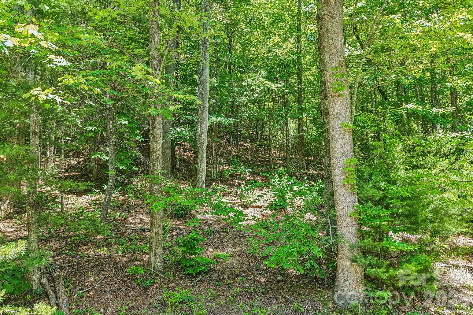 11 Magnolia Branch Drive - Photo 8
