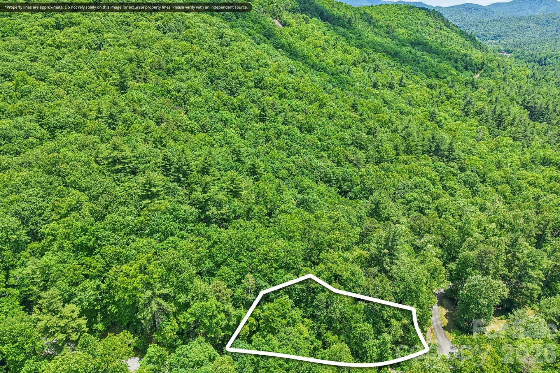 11 Magnolia Branch Drive - Photo 10