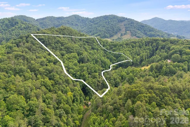 99999 Acorn Drive, Marshall, NC, 28754