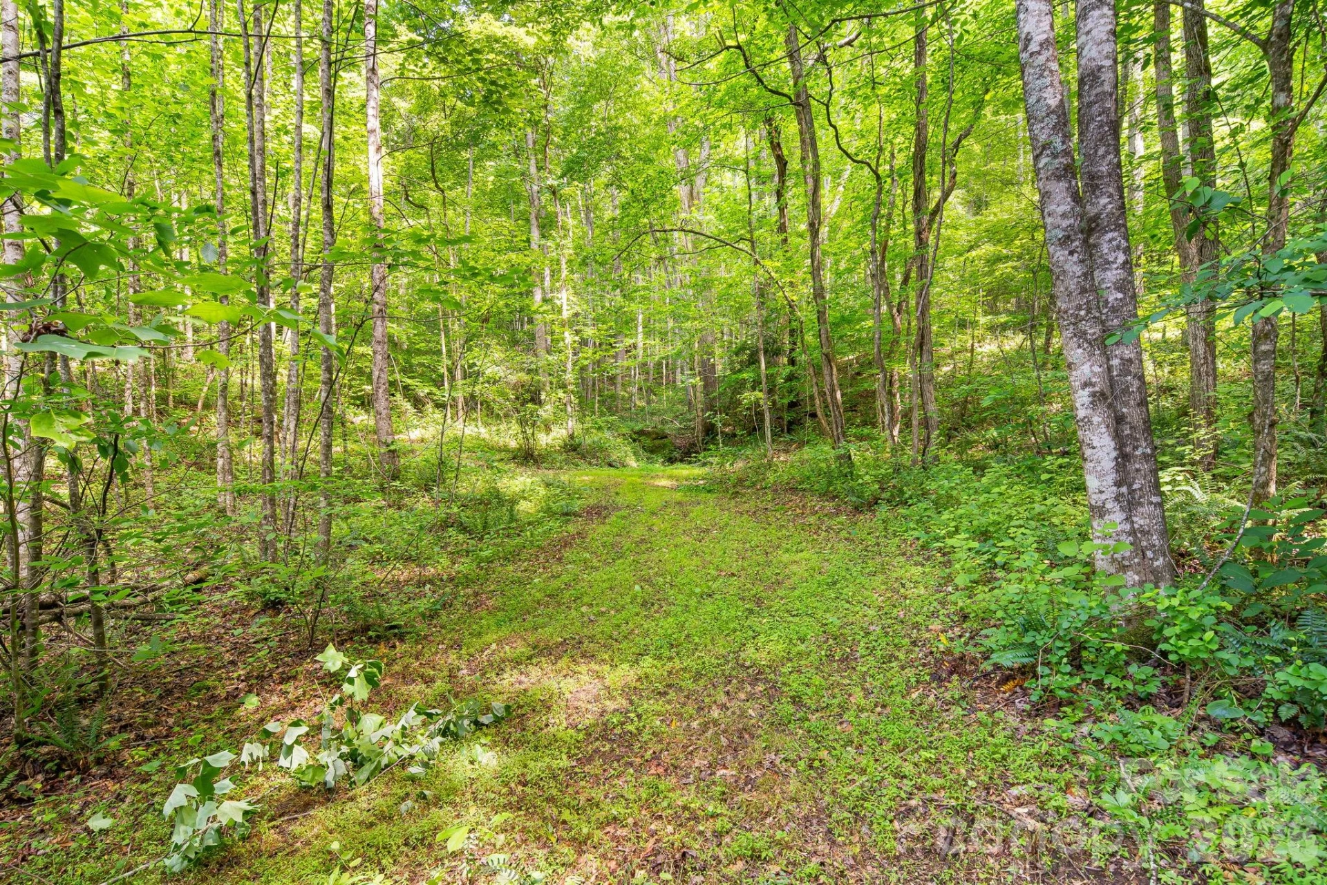 99999 Acorn Drive - Photo 13