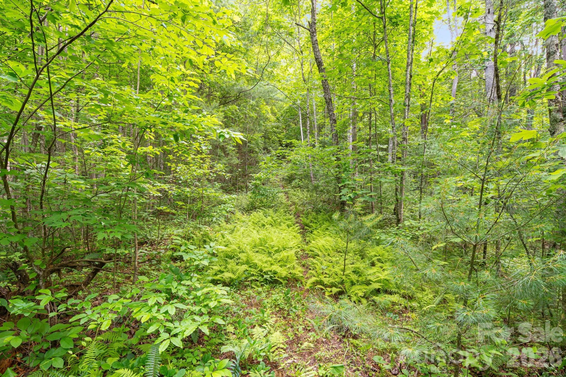 99999 Acorn Drive - Photo 9