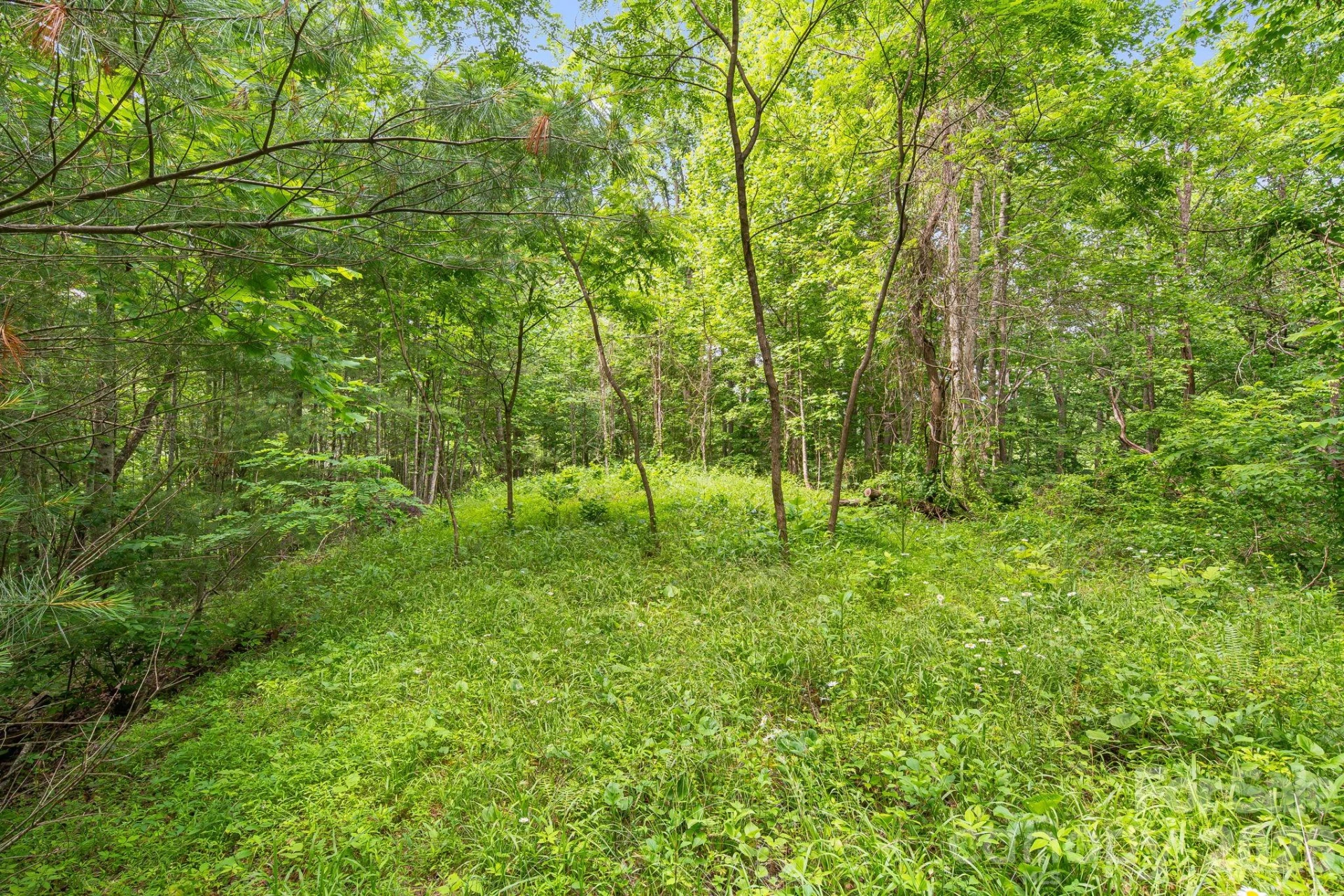 99999 Acorn Drive - Photo 10