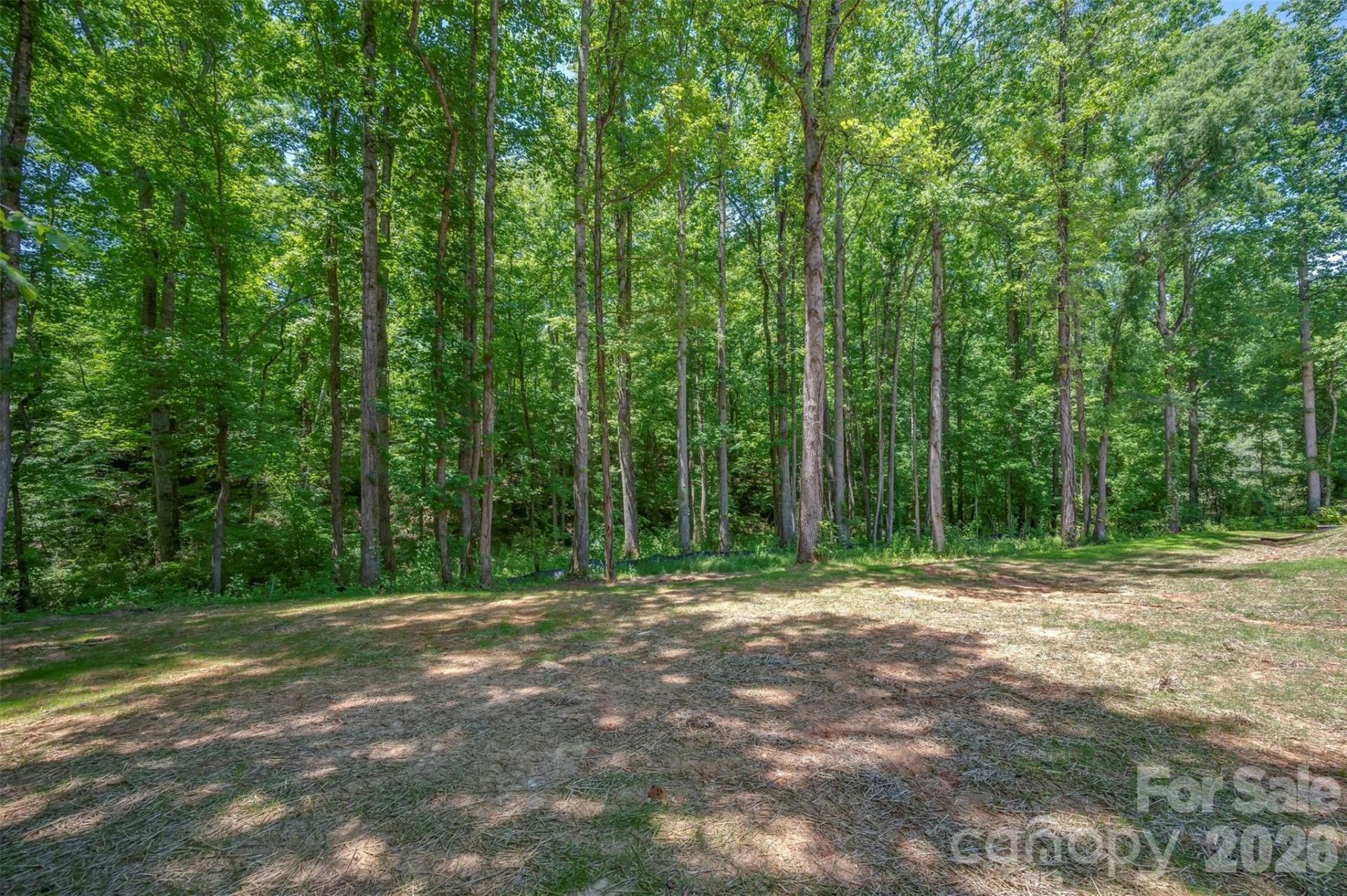 223 Pearidge Road - Photo 32