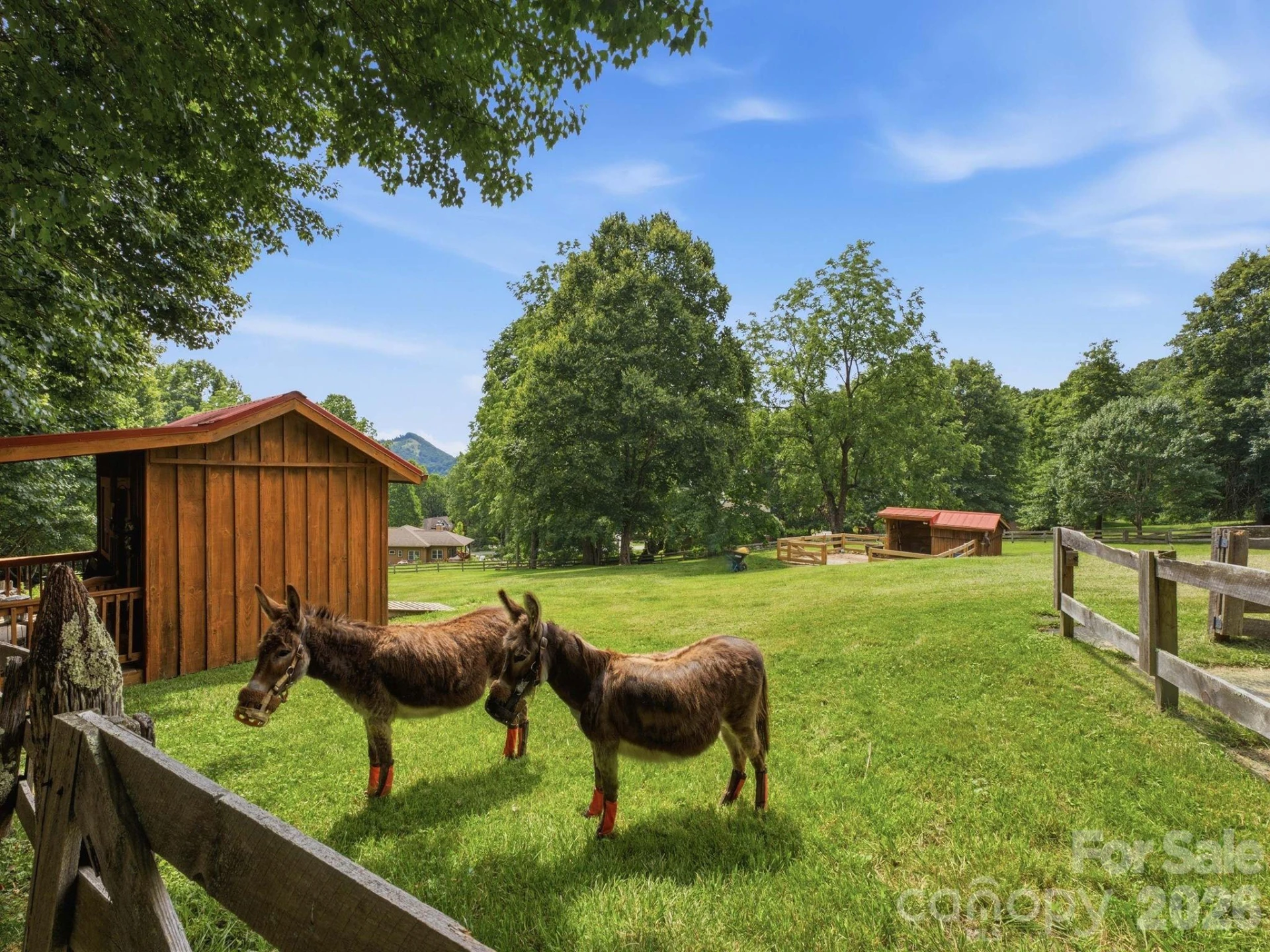 248 Brannon Forest Drive - Photo 34