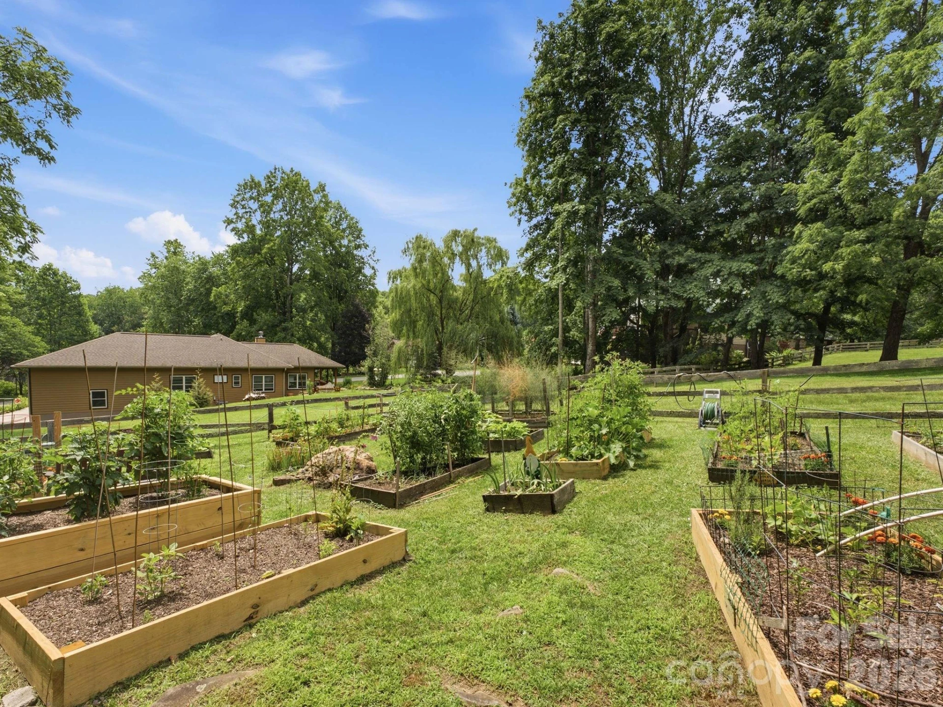 248 Brannon Forest Drive - Photo 38