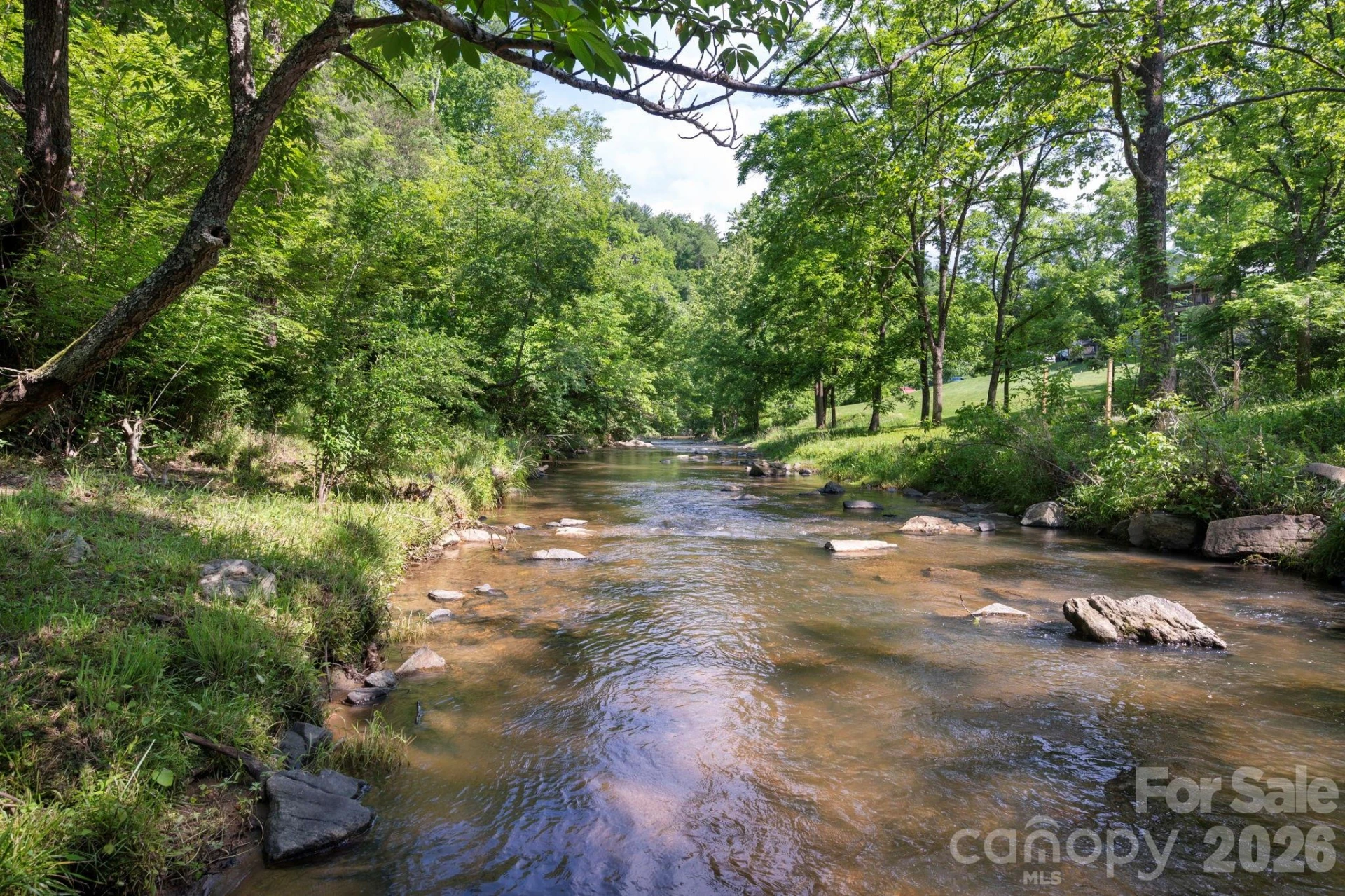 2896 Old Mars Hill Highway - Photo 2